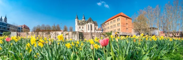 Die schönsten Attraktionen im zauberhaften Magdeburg